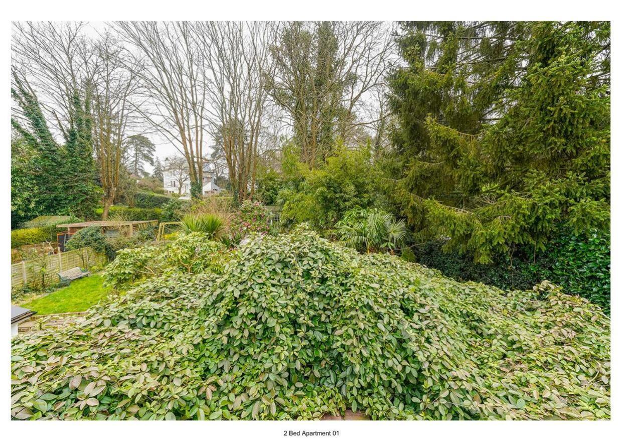 The Park Apartment Haywards Heath Eksteriør billede